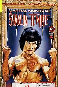 La terrible revanche du maître de shaolin (1980) cover