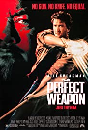 The Perfect Weapon (1991) cover