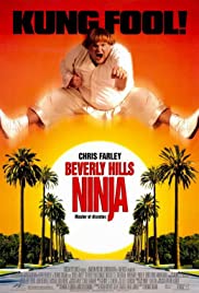 O Ninja de Beverly Hills (1997) cobrir