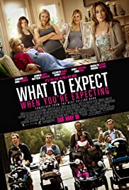 What to Expect When You're Expecting (2012) cover