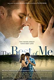 The Best of Me (2014) cover